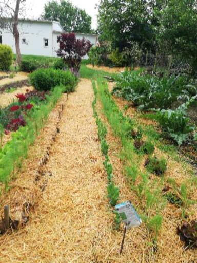 Au Coeur Du Jardin Vila La Boussac Exterior foto