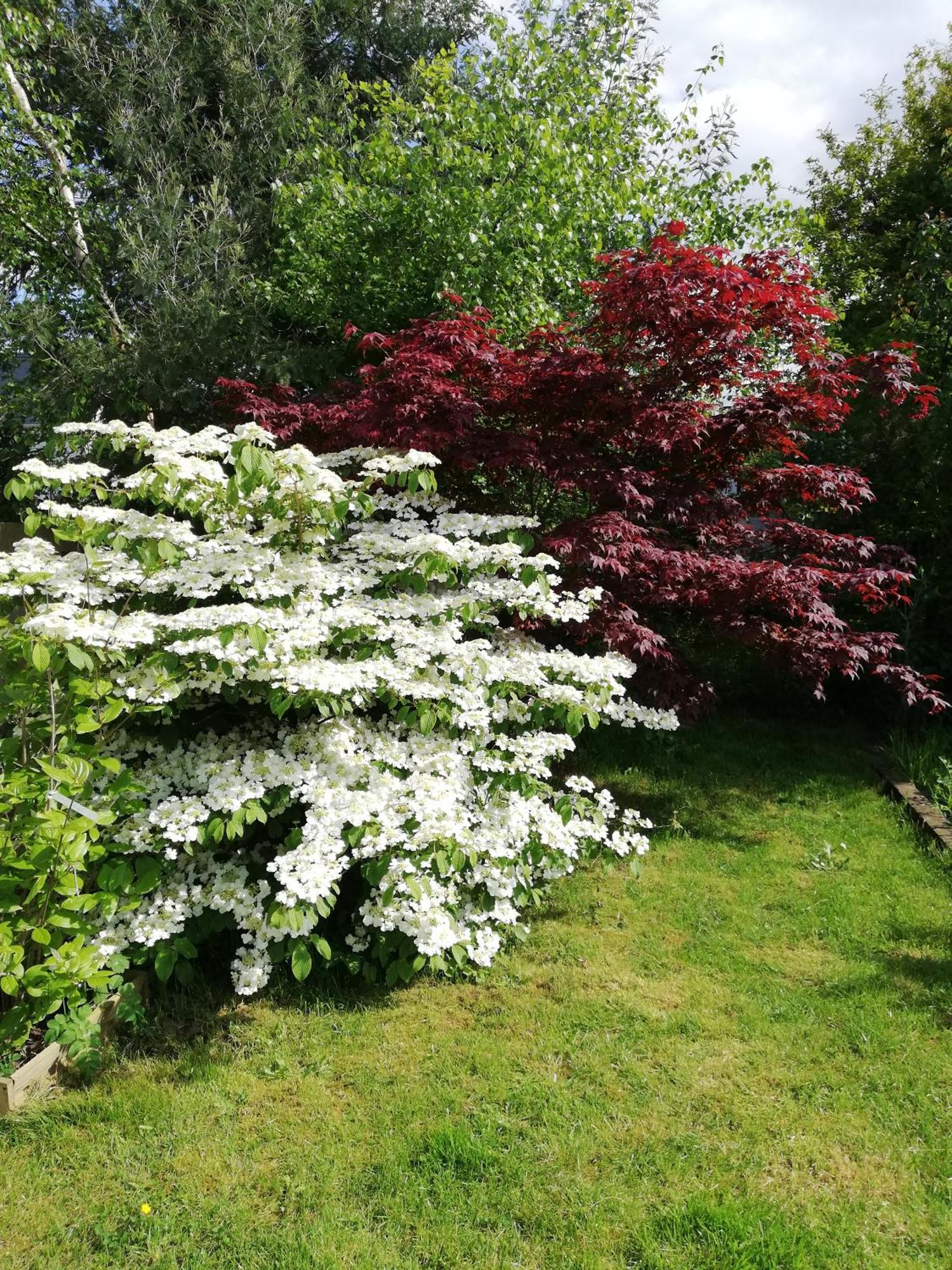 Au Coeur Du Jardin Vila La Boussac Exterior foto
